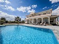 Klaar nu, wow-factor villa met zwembad, gastenverblijf en bar! in Daft on Spain 