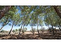 Stunning 6 Bed 4 Bath Villa in Yecla. in Daft on Spain 