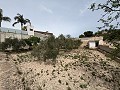 Big country home in Salinetas, Petrer in Daft on Spain 