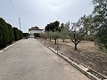 Big country home in Salinetas, Petrer in Daft on Spain 