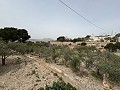 Big country home in Salinetas, Petrer in Daft on Spain 