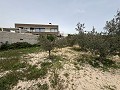 Big country home in Salinetas, Petrer in Daft on Spain 
