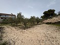 Big country home in Salinetas, Petrer in Daft on Spain 