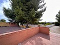 Private Campsite with a 4 Bed House in Pinoso. in Daft on Spain 