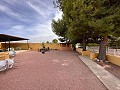 Private Campsite with a 4 Bed House in Pinoso. in Daft on Spain 