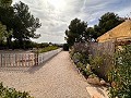 Private Campsite with a 4 Bed House in Pinoso. in Daft on Spain 