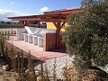Private Campsite with a 4 Bed House in Pinoso. in Daft on Spain 