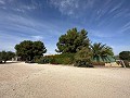 Private Campsite with a 4 Bed House in Pinoso. in Daft on Spain 