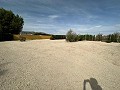 Private Campsite with a 4 Bed House in Pinoso. in Daft on Spain 