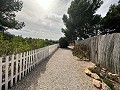 Private Campsite with a 4 Bed House in Pinoso. in Daft on Spain 