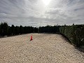Private Campsite with a 4 Bed House in Pinoso. in Daft on Spain 