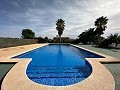 Private Campsite with a 4 Bed House in Pinoso. in Daft on Spain 