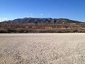 Private Campsite with a 4 Bed House in Pinoso. in Daft on Spain 