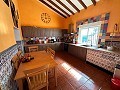 Private Campsite with a 4 Bed House in Pinoso. in Daft on Spain 