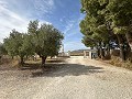 Private Campsite with a 4 Bed House in Pinoso. in Daft on Spain 