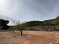 Amazing Modern New build in La Romana in Daft on Spain 