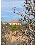 Schönes Landhaus mit 5 Schlafzimmern und 4/5 Bädern in Raspay. in Daft on Spain 