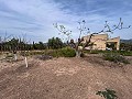 Cozy Country House with Pool in Sax in Daft on Spain 