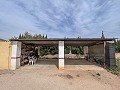 Cozy Country House with Pool in Sax in Daft on Spain 