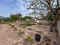 Cozy Country House with Pool in Sax in Daft on Spain 
