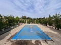 Cozy Country House with Pool in Sax in Daft on Spain 