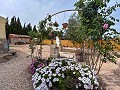 Cozy Country House with Pool in Sax in Daft on Spain 