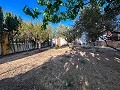 Wonderful 4-bedroom country house in Monforte del Cid in Daft on Spain 
