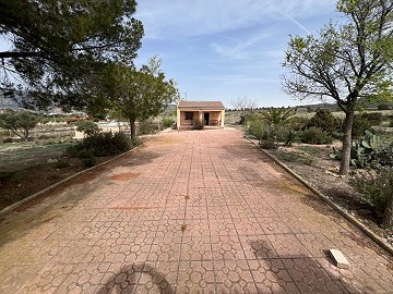  Country House in Sax