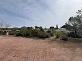  Country House in Sax in Daft on Spain 