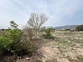  Country House in Sax in Daft on Spain 