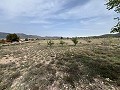  Country House in Sax in Daft on Spain 