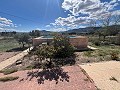  Country House in Sax in Daft on Spain 