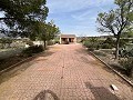  Country House in Sax in Daft on Spain 