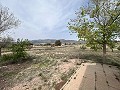  Country House in Sax in Daft on Spain 
