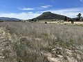 Prachtig stuk grond tussen La Romana en Hondon de las Nieves. in Daft on Spain 