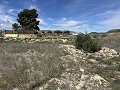 Prachtig stuk grond tussen La Romana en Hondon de las Nieves. in Daft on Spain 