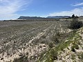 Prachtig stuk grond tussen La Romana en Hondon de las Nieves. in Daft on Spain 