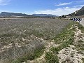 Prachtig stuk grond tussen La Romana en Hondon de las Nieves. in Daft on Spain 