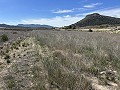 Prachtig stuk grond tussen La Romana en Hondon de las Nieves. in Daft on Spain 