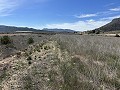 Prachtig stuk grond tussen La Romana en Hondon de las Nieves. in Daft on Spain 
