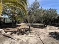 2 Bed 1 Bath Finca for sale in la Romana. in Daft on Spain 