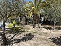 2 Bed 1 Bath Finca for sale in la Romana. in Daft on Spain 