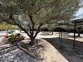 2 Bed 1 Bath Finca for sale in la Romana. in Daft on Spain 