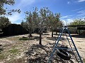 2 Bed 1 Bath Finca for sale in la Romana. in Daft on Spain 