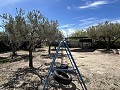 2 Bed 1 Bath Finca for sale in la Romana. in Daft on Spain 