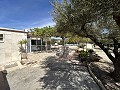 2 Bed 1 Bath Finca for sale in la Romana. in Daft on Spain 