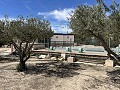 2 Bed 1 Bath Finca for sale in la Romana. in Daft on Spain 