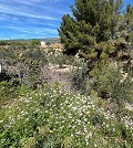 Mooi Landhuis in Daft on Spain 