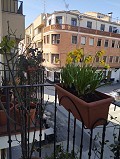 Casa adosada de 4 dormitorios y 2 plantas en Ayora in Daft on Spain 