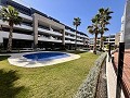 Penthouse de 2 chambres à Playa Flamenca in Daft on Spain 